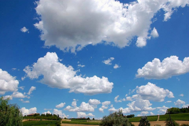 I Salici Ridenti 